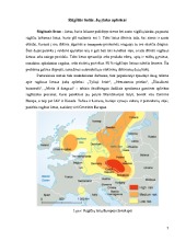 Rugsciųjų Lietų Poveikis Mokslobaze Lt