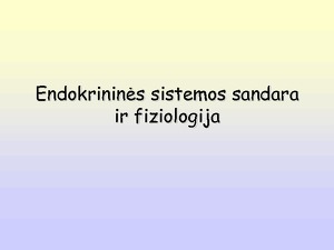 Endokrininės Sistemos Sandara Ir Fiziologija Mokslobaze Lt