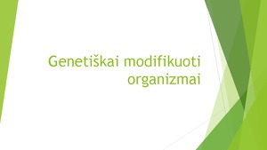 Genetiskai Modifikuoti Organizmai Jų Poveikis Grupės Paplitimas Mokslobaze Lt