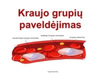 Kraujo Grupės Ir Jų Paveldėjimas - Mokslobaze.lt