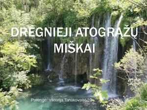 Drėgnieji Atograzų Miskai Klimatas Augalija Gyvunija Mokslobaze Lt