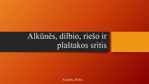 Alkunės Rieso Ir Dilbio Sritis Mokslobaze Lt