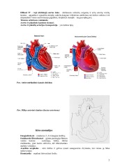 Specialiosios Patologijos I Koliokviumo Medžiaga. Širdies Patologija ...