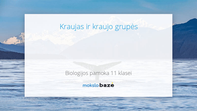 Kraujas Ir Kraujo Grupės - Pamokos - Mokslobaze.lt